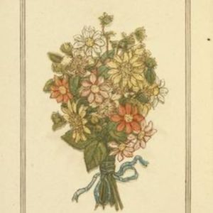 Meet your Posher, Constance